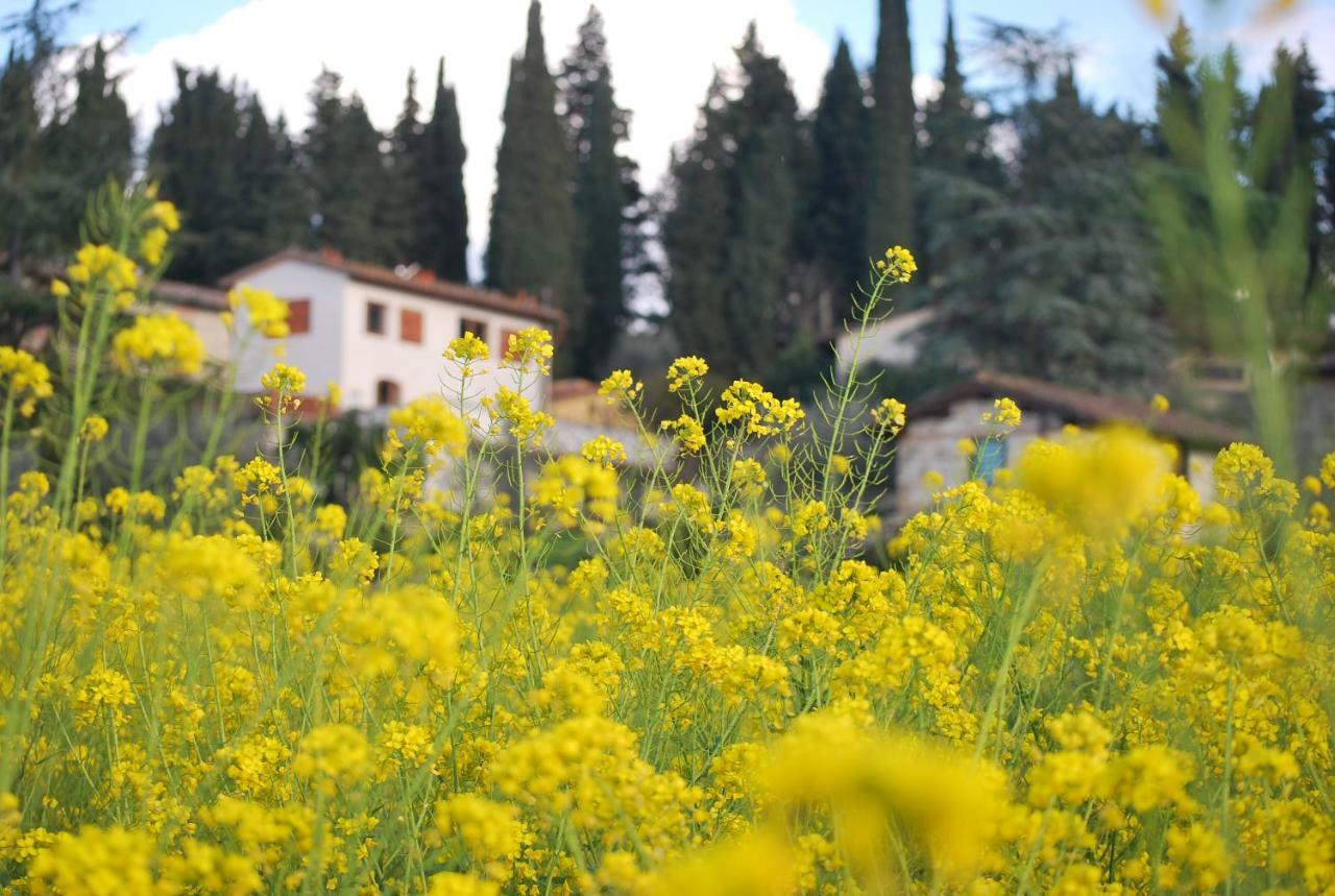Appartamento Piero Bagno a Ripoli Dış mekan fotoğraf